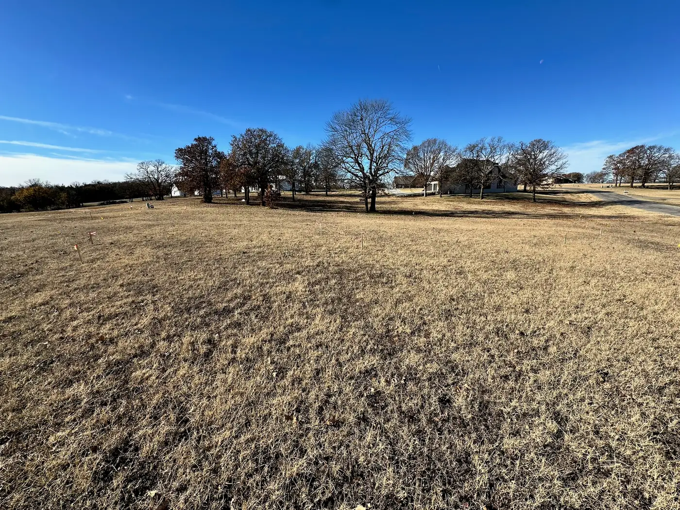 Marked wooded lot before clearing and site preparation